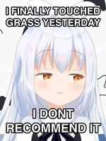 Dont_Touch_Grass.jpg