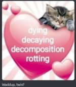 1748637508699.png