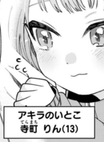 1750356284296.png