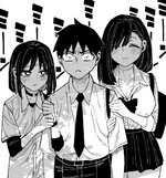 IMG_2375.jpeg