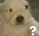 Dog question mark.jpeg