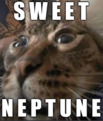sweet neptune.png