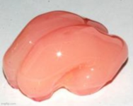 7hso2w-1323331414_20260308092410.png 7hso2w-1323331414_20260308092410.png