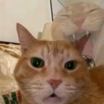 20260409_154354.png