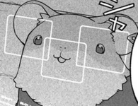 1779013619191.png
