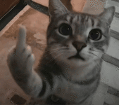 1780641571376.gif