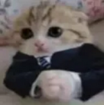 1783016995497.png