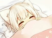 Comfy sleep.jpg