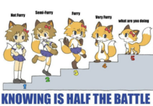 1785360116075.png