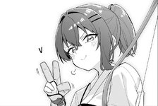 v.jpg