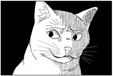 6659.png
