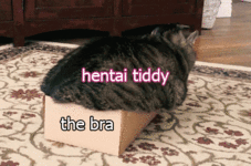 hentai_tiddy.gif