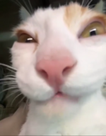 1786885045688.png