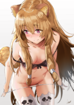 Racoon 1.png