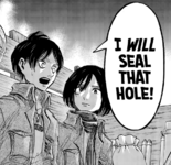 Mikasa.png