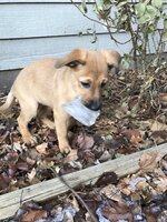 IMG_0789.jpeg