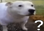 ____-4x.png