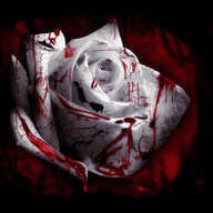 BloodyRose