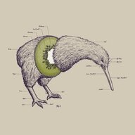 Dreadkiwi