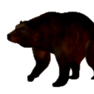 SlowlyApproachingBear