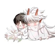 yiboqii