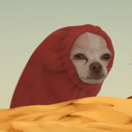 SymDonB