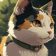 CoolCalico