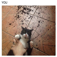 worldpeace