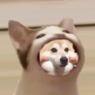 KatzchenIdoriMidori