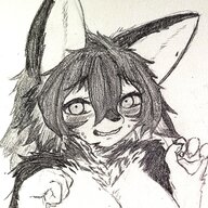 ssnoee