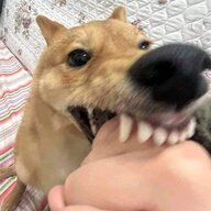 TrashRatMo