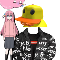 DripDuck