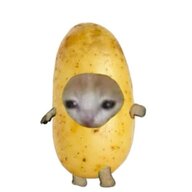 potatocrumb