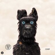 Whyusetheusernameiwanted