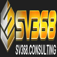 sv368consulting