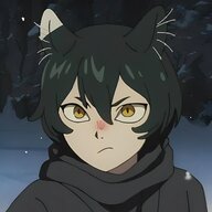 DidiReadsFanTranslations