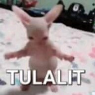 Didotsikodok