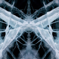 Weavice
