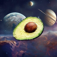 InterdimensionalAvocado