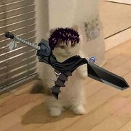 Cheshire_M4n