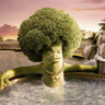Beansprout_pp