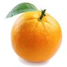 TangerineTLs