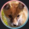 veilchenfuchs
