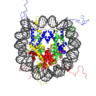 Epigenetic