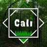 Cali_Insomnia