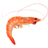ShrimpScans