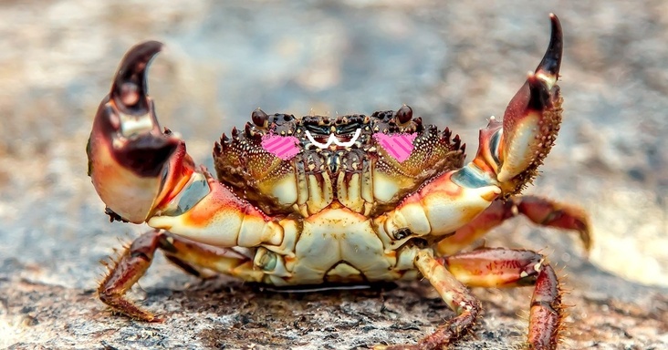 the.left.foot | MangaDex Forums