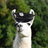 Llamapolice