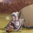 yurucampfan1
