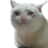 Iriex